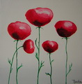 Poppies 1