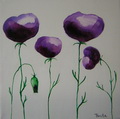 Poppies 2